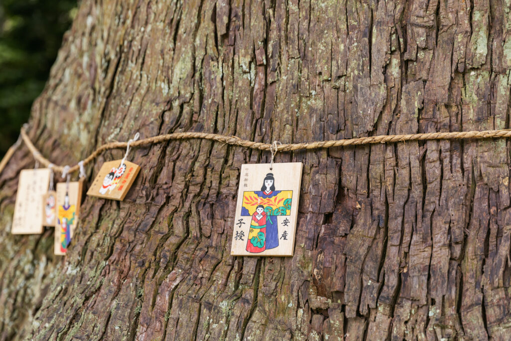 Ema (votive plaques) hung on the Anzan-sugi tree.